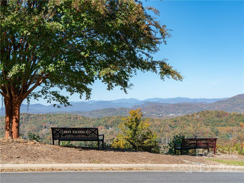 1736 Wood Owl Court #36R - Photo 20