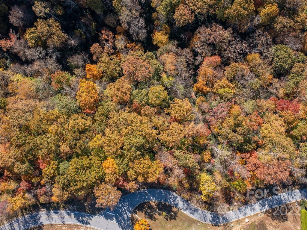 1736 Wood Owl Court #36R - Photo 4