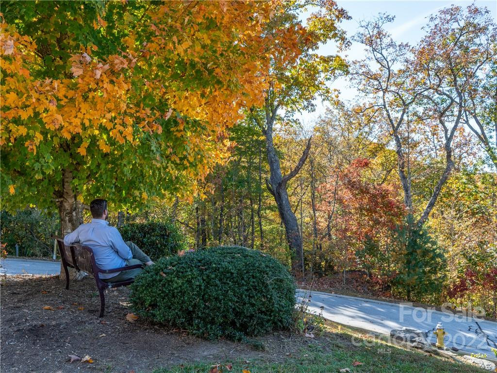 1736 Wood Owl Court #36R - Photo 6