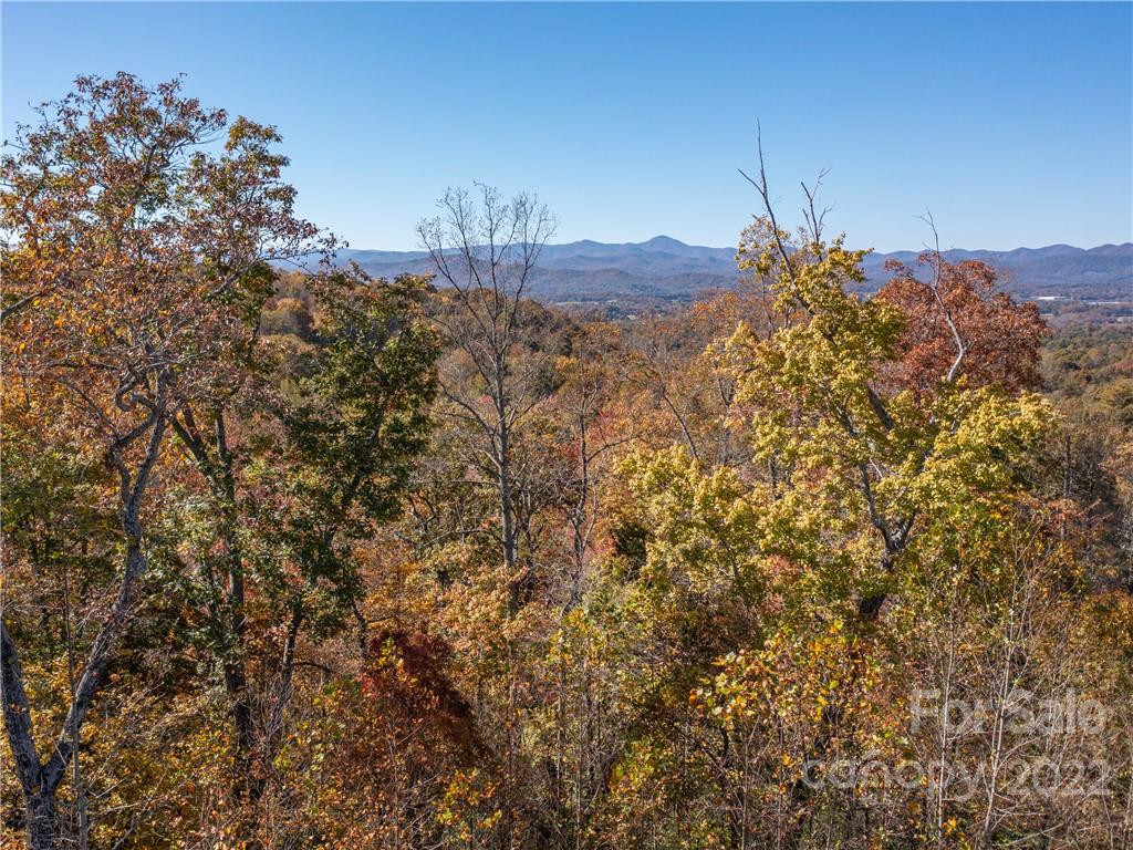 1736 Wood Owl Court #36R - Photo 9