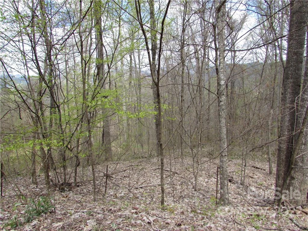 E- 18 Red Wolf Run None - Photo 12