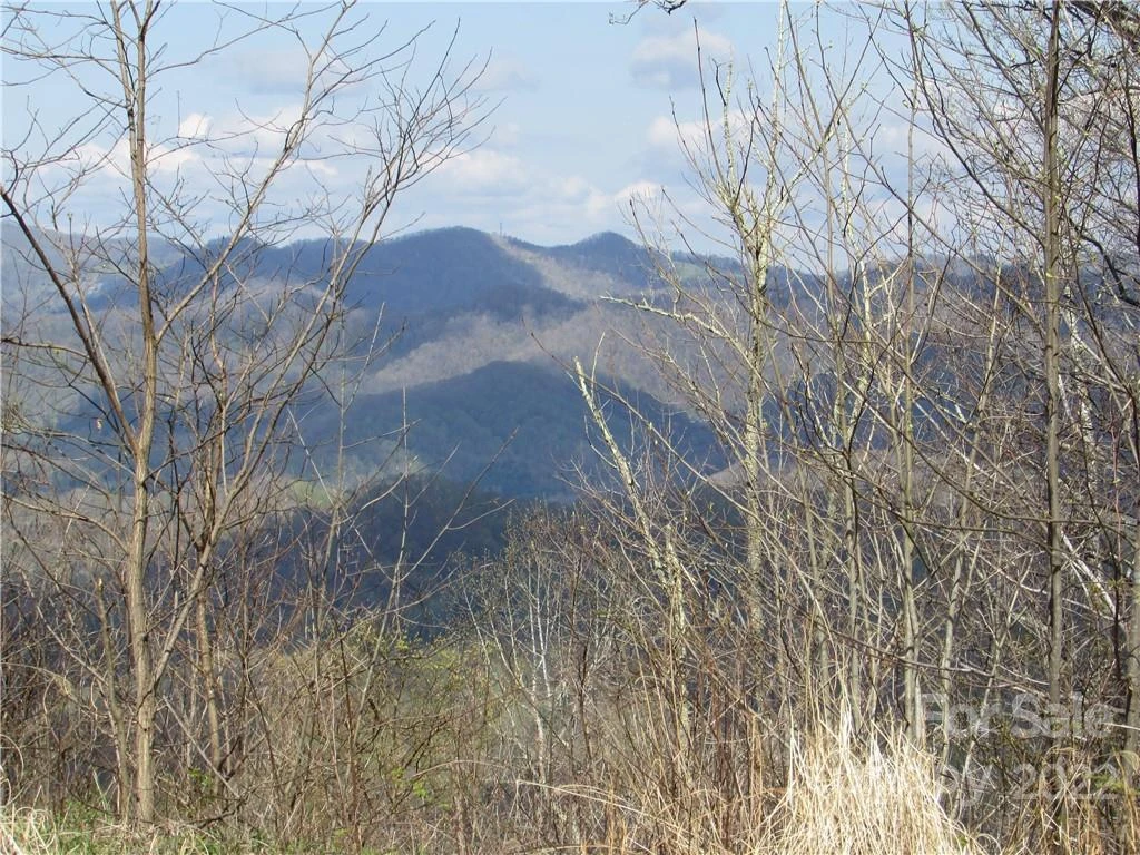 E- 18 Red Wolf Run None - Photo 8