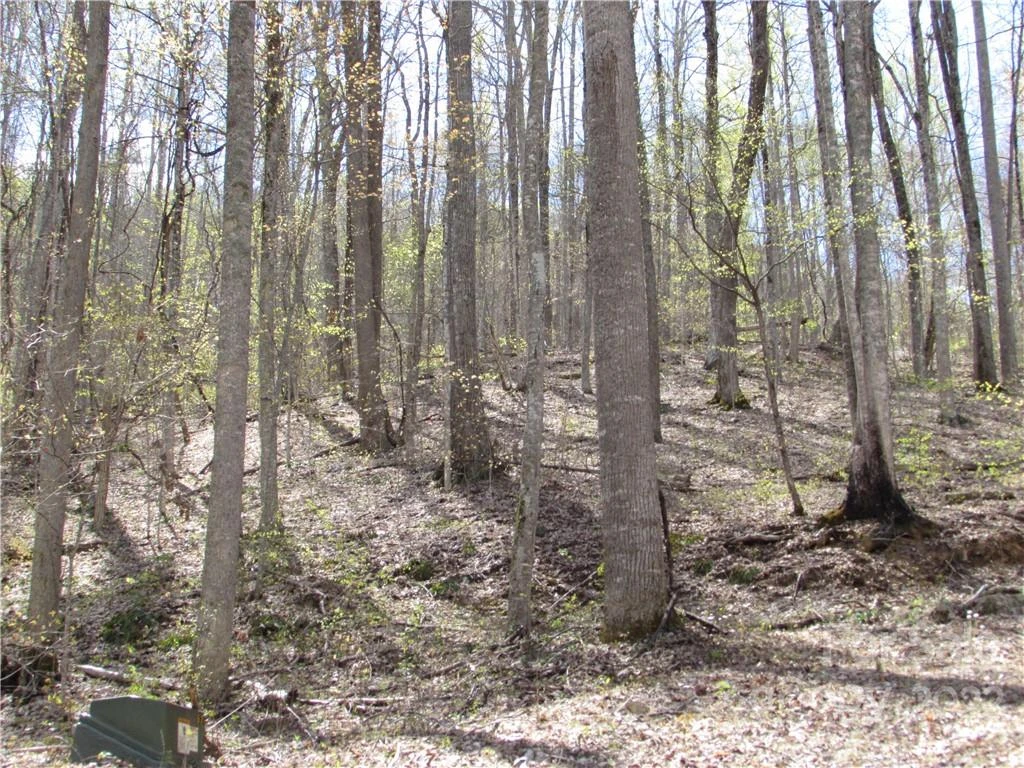 E- 18 Red Wolf Run None - Photo 10