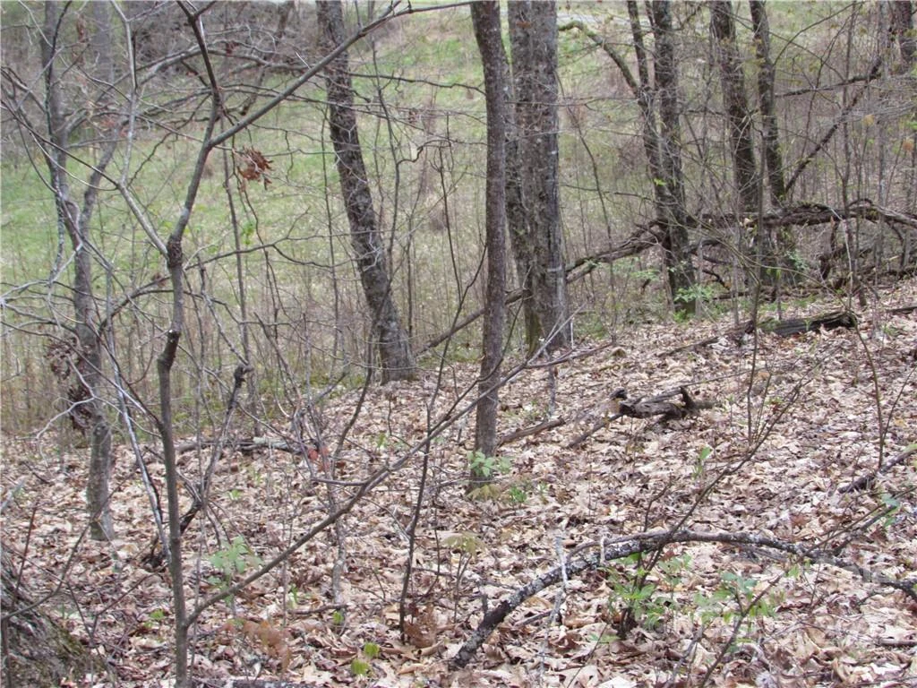 E-18 & 17 Red Wolf Run None - Photo 14