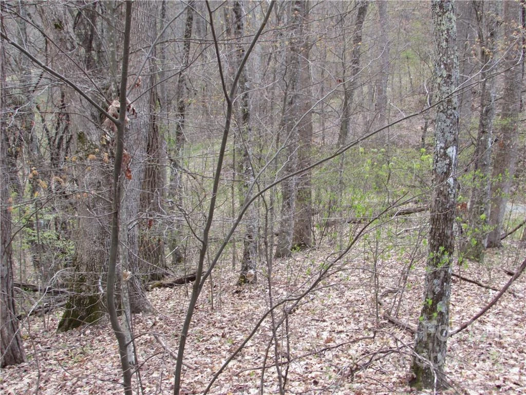 E-18 & 17 Red Wolf Run None - Photo 15