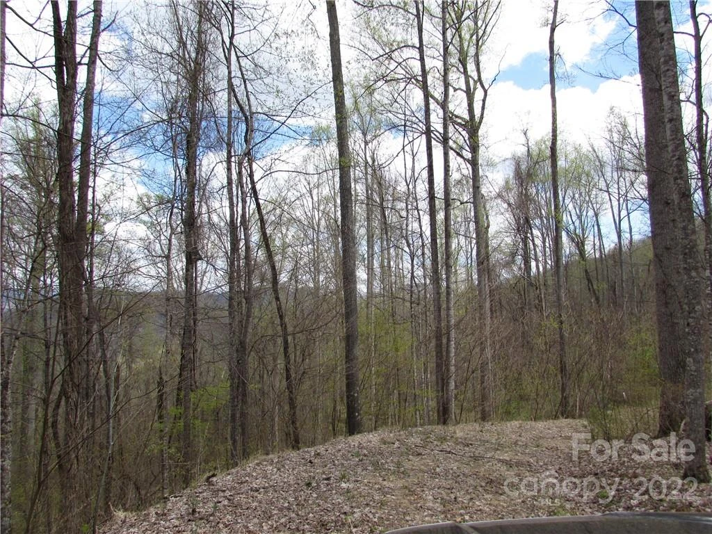 E-18 & 17 Red Wolf Run None - Photo 17