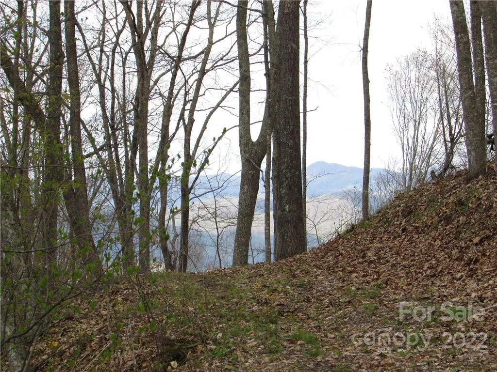 E-18 & 17 Red Wolf Run None - Photo 19