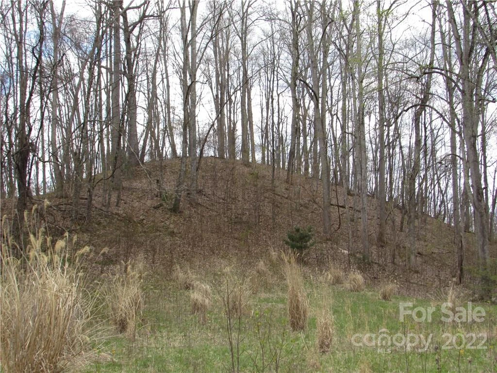 E-18 & 17 Red Wolf Run None - Photo 20