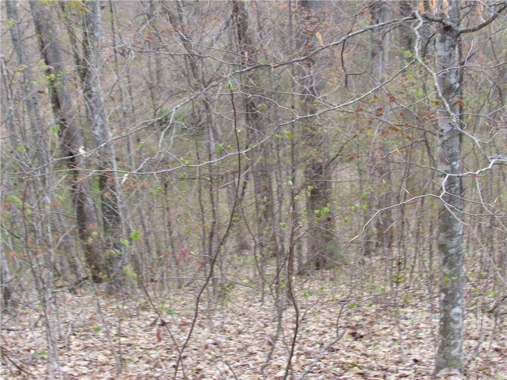 E-18 & 17 Red Wolf Run None - Photo 21
