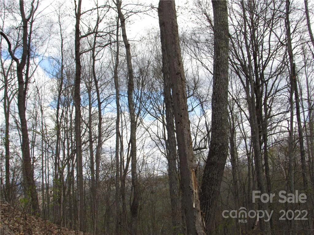 E-18 & 17 Red Wolf Run None - Photo 24