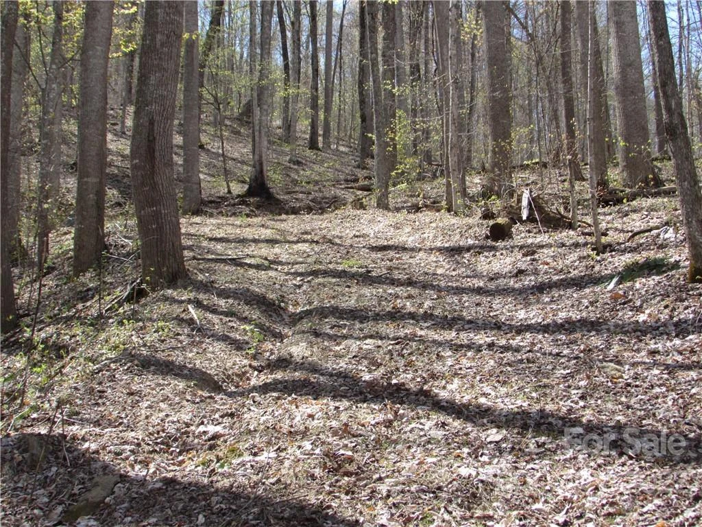 E-18 & 17 Red Wolf Run None - Photo 9