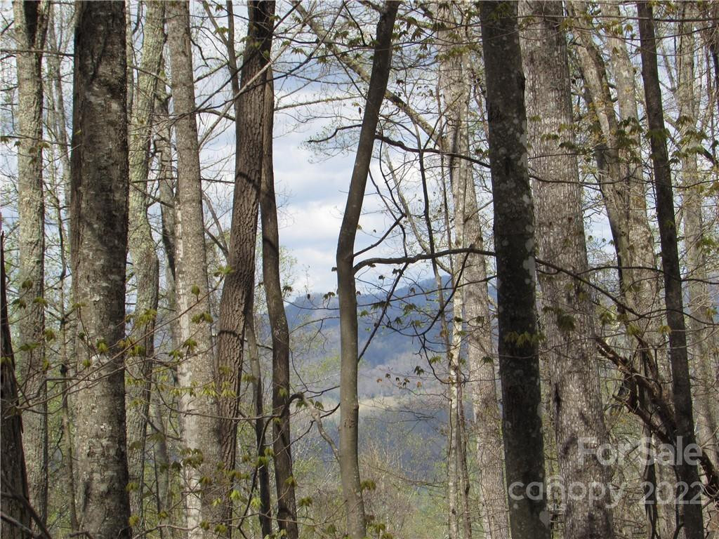 Multiple lots Red Wolf Run None - Photo 11