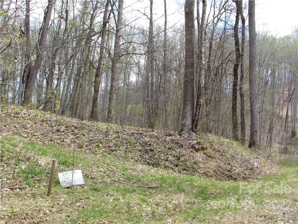Multiple lots Red Wolf Run None - Photo 13