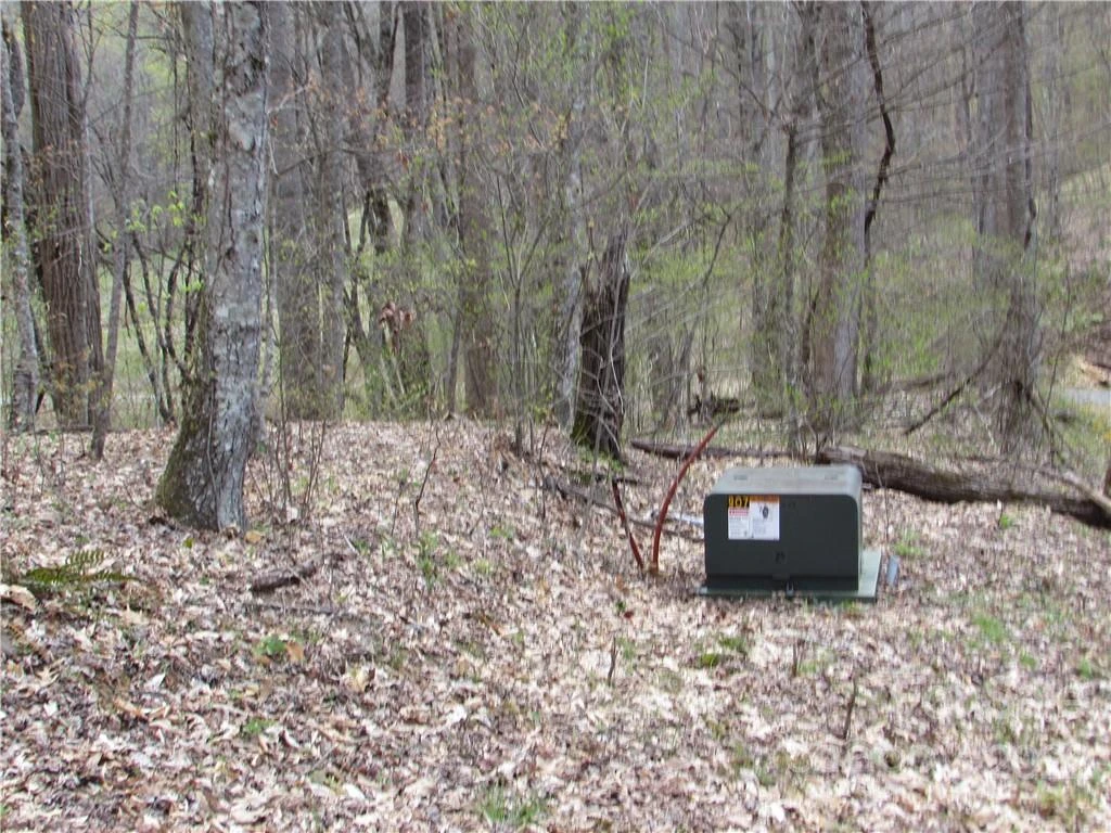 Multiple lots Red Wolf Run None - Photo 16