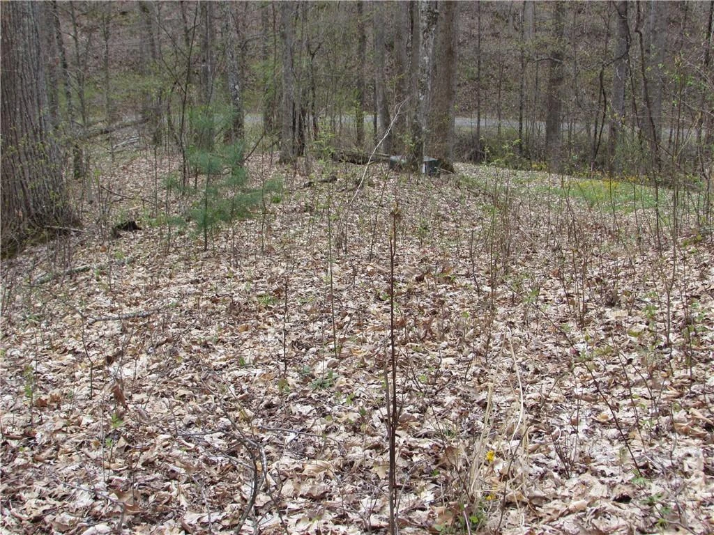 Multiple lots Red Wolf Run None - Photo 22