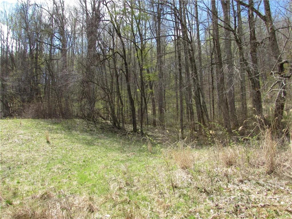 Multiple lots Red Wolf Run None - Photo 27