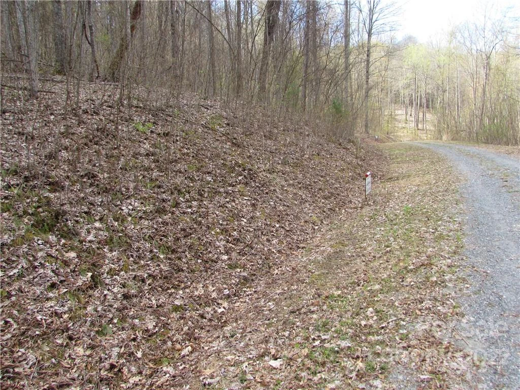 Multiple lots Red Wolf Run None - Photo 29