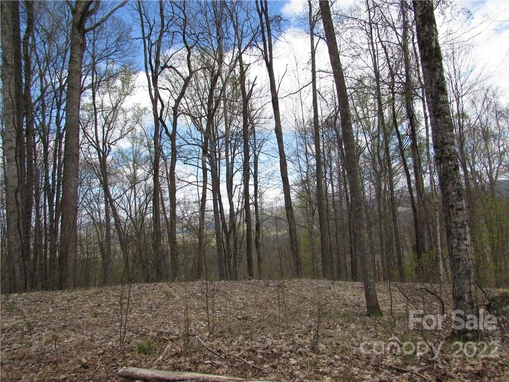 Multiple lots Red Wolf Run None - Photo 30