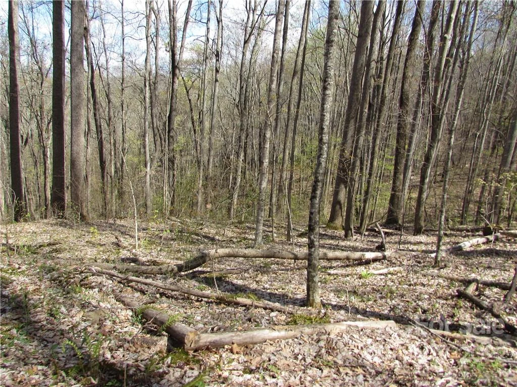 Multiple lots Red Wolf Run None - Photo 31