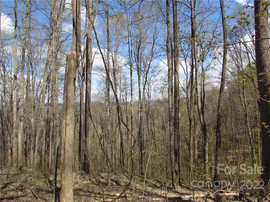 Multiple lots Red Wolf Run None - Photo 32