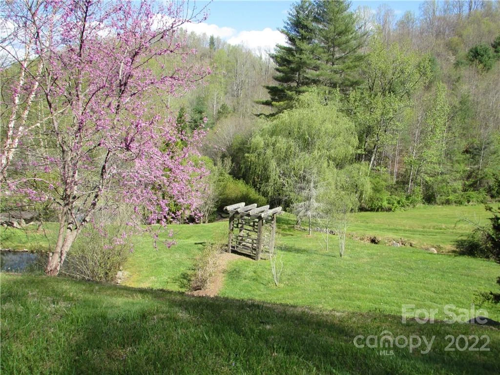 Multiple lots Red Wolf Run None - Photo 6