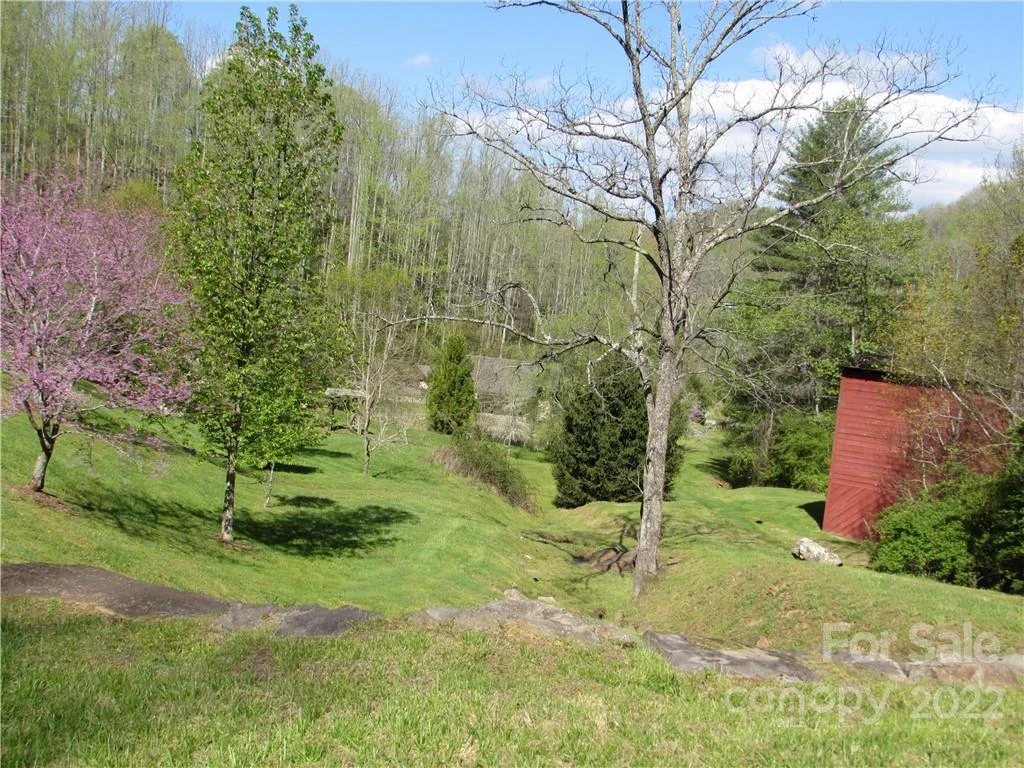 Multiple lots Red Wolf Run None - Photo 7