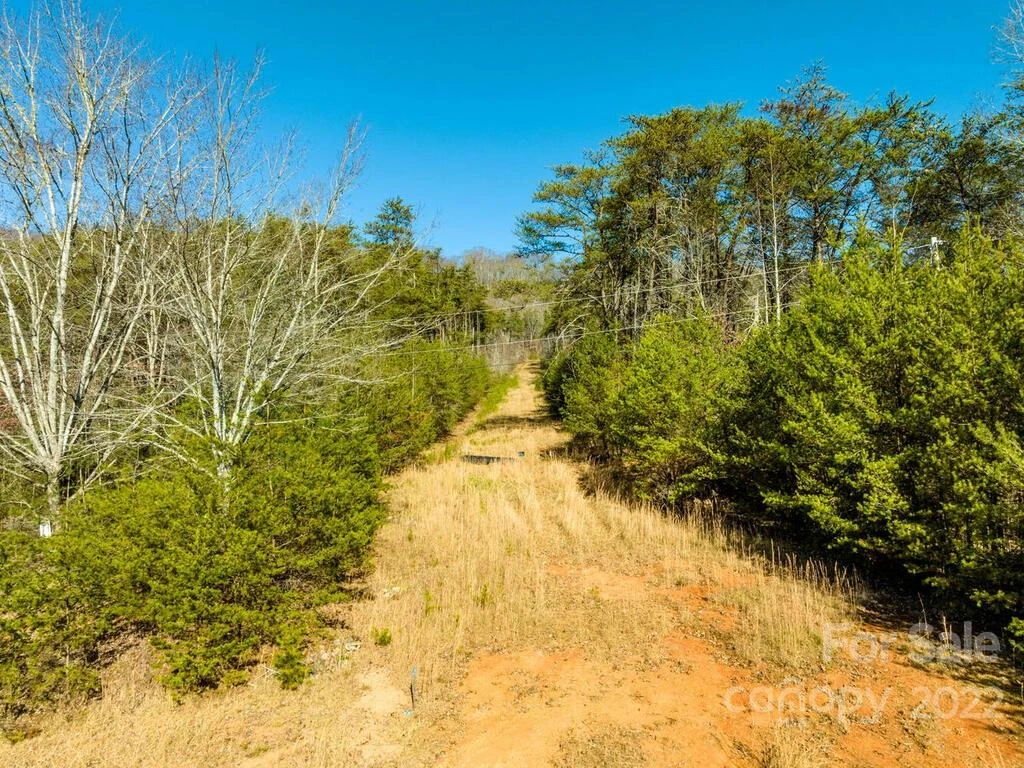 6 Tylers Run #12 - Photo 3