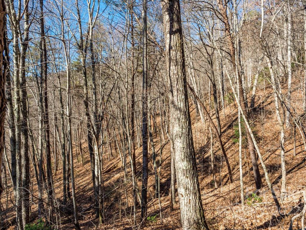 6 Tylers Run #12 - Photo 21