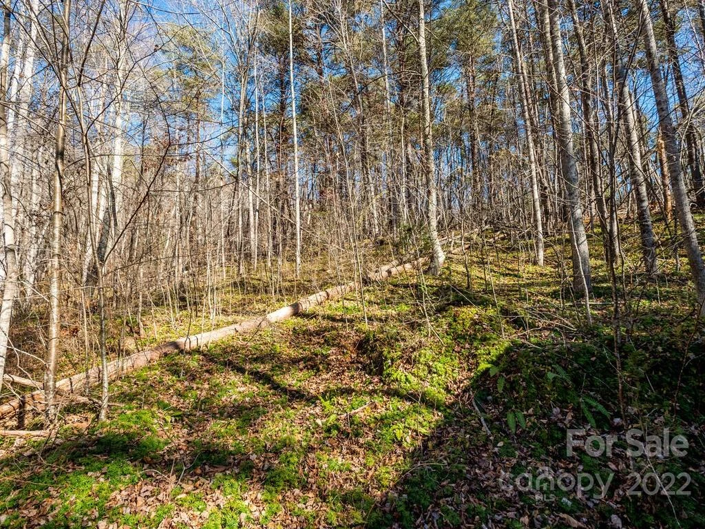 6 Tylers Run #12 - Photo 26