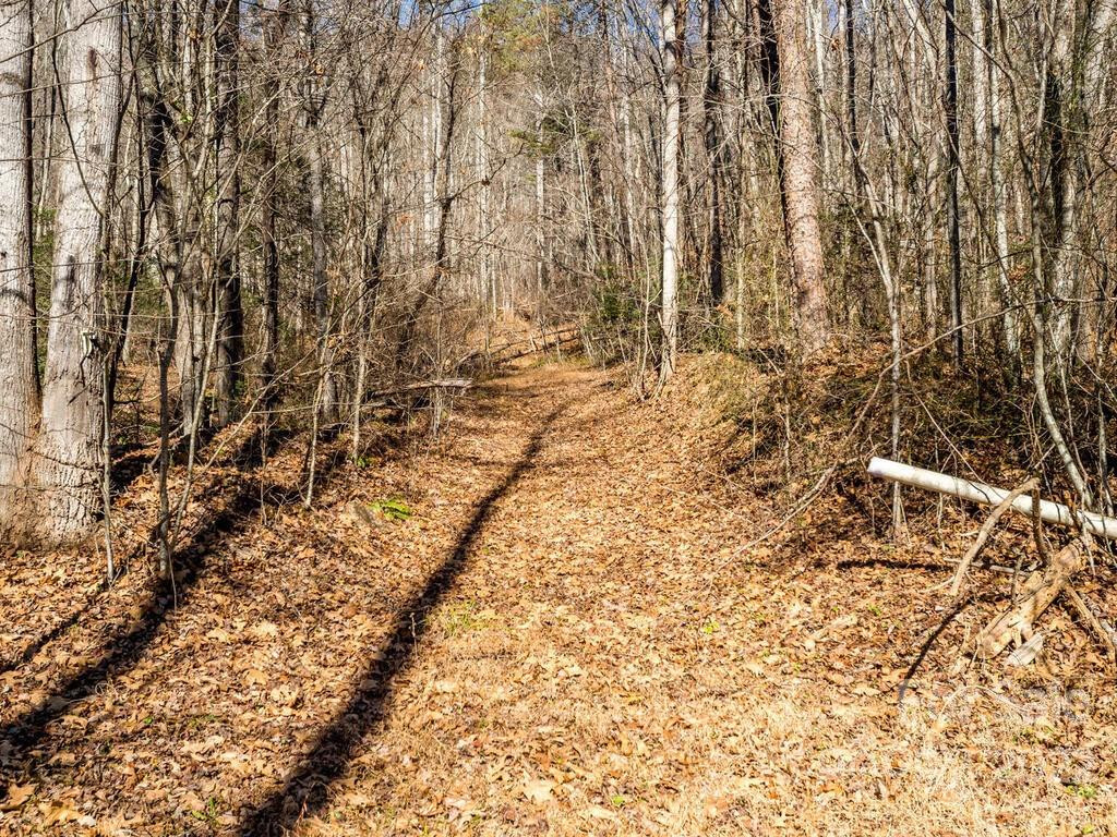 6 Tylers Run #12 - Photo 27