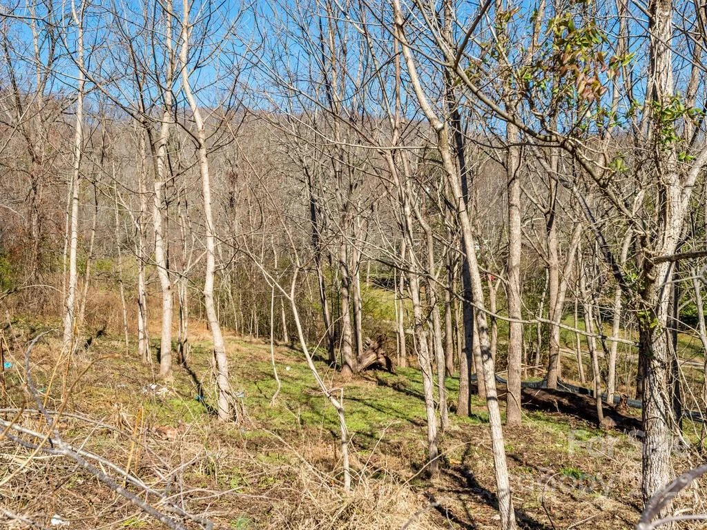 6 Tylers Run #12 - Photo 31