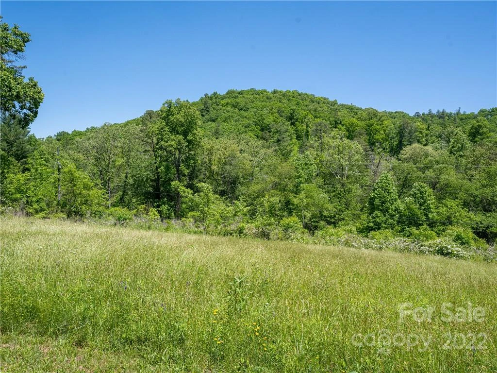 99999 Merrills Cove Road #1 & 3 - Photo 5
