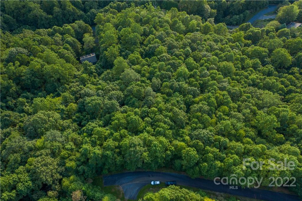 1161 Standing Deer Trace #130 - Photo 2