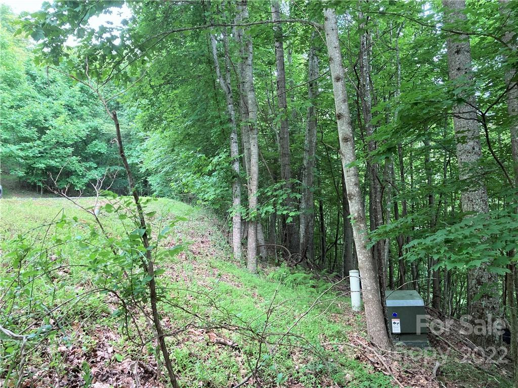 1161 Standing Deer Trace #130 - Photo 11