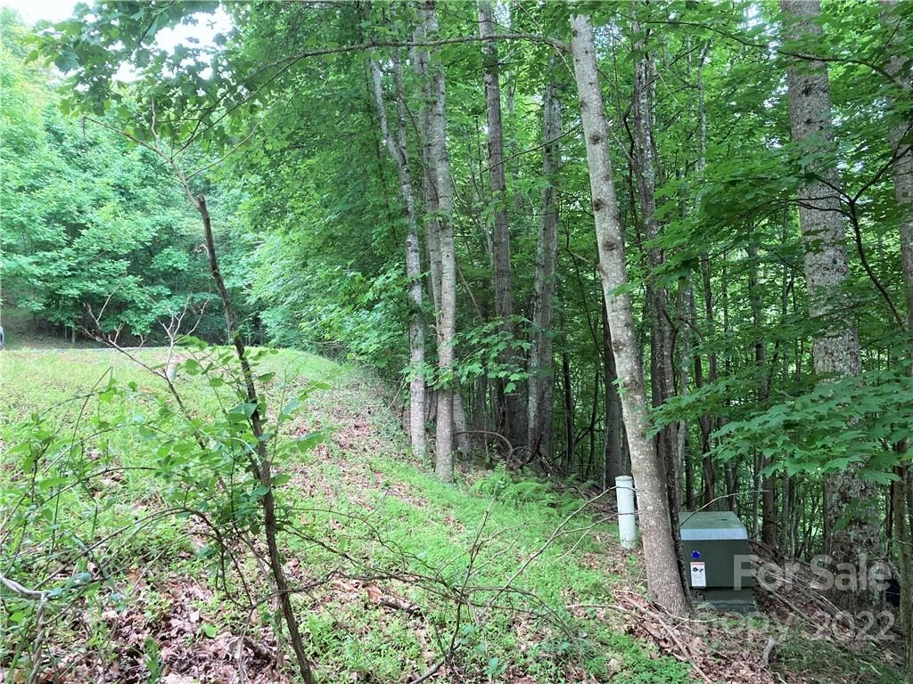 1161 Standing Deer Trace #130 - Photo 11