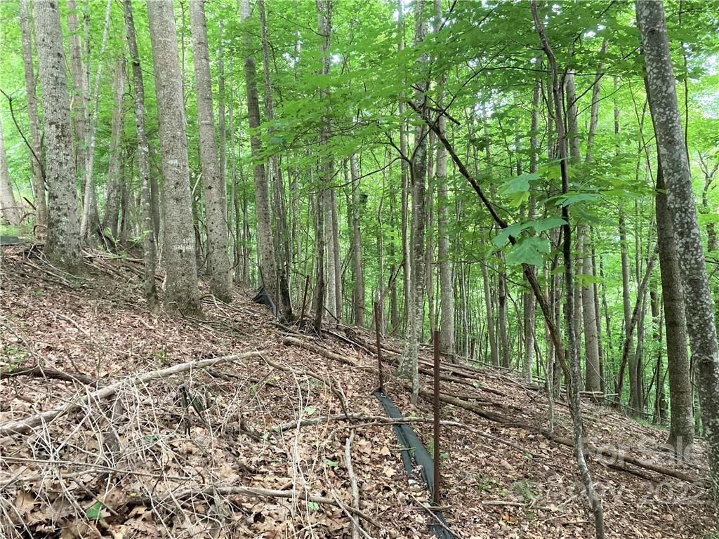 1161 Standing Deer Trace #130 - Photo 12