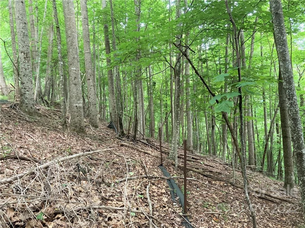 1161 Standing Deer Trace #130 - Photo 12