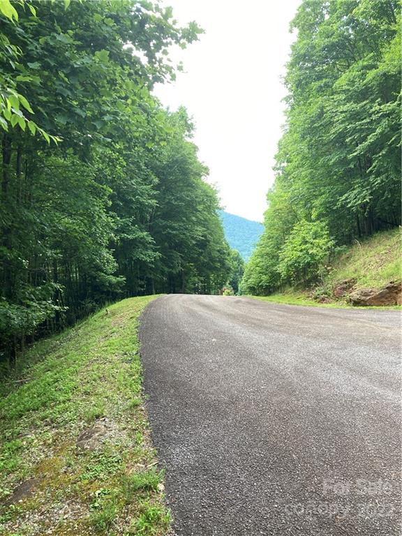 1161 Standing Deer Trace #130 - Photo 14