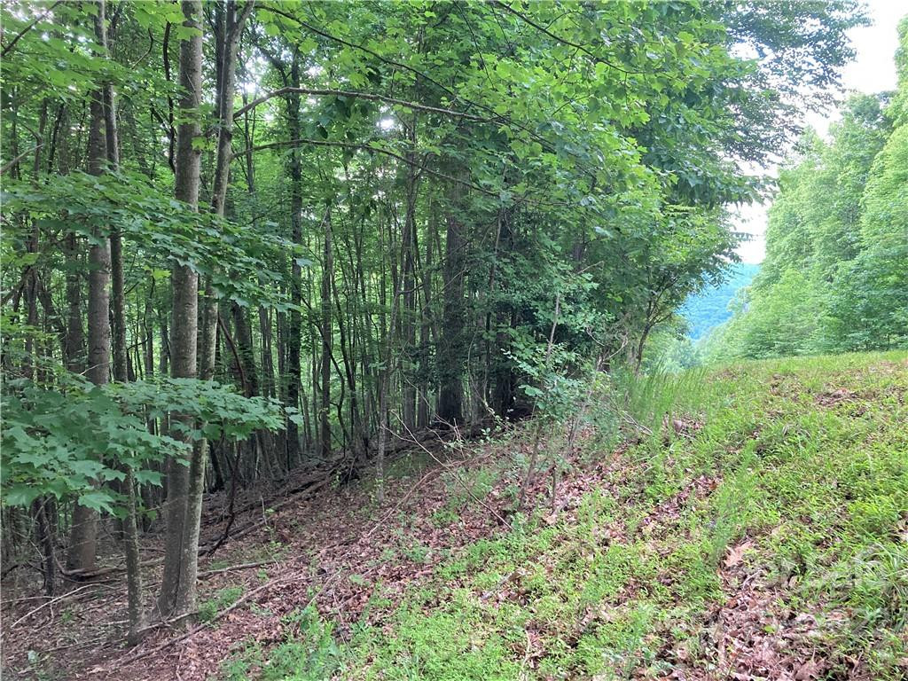 1161 Standing Deer Trace #130 - Photo 15