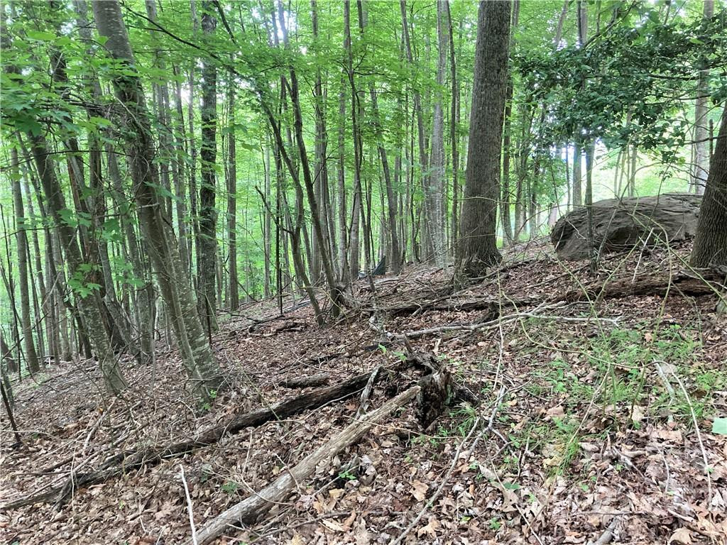 1161 Standing Deer Trace #130 - Photo 16