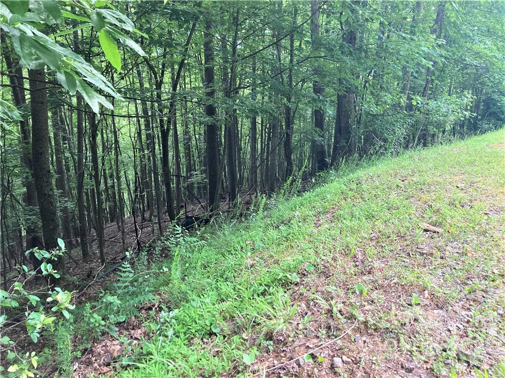 1161 Standing Deer Trace #130 - Photo 17