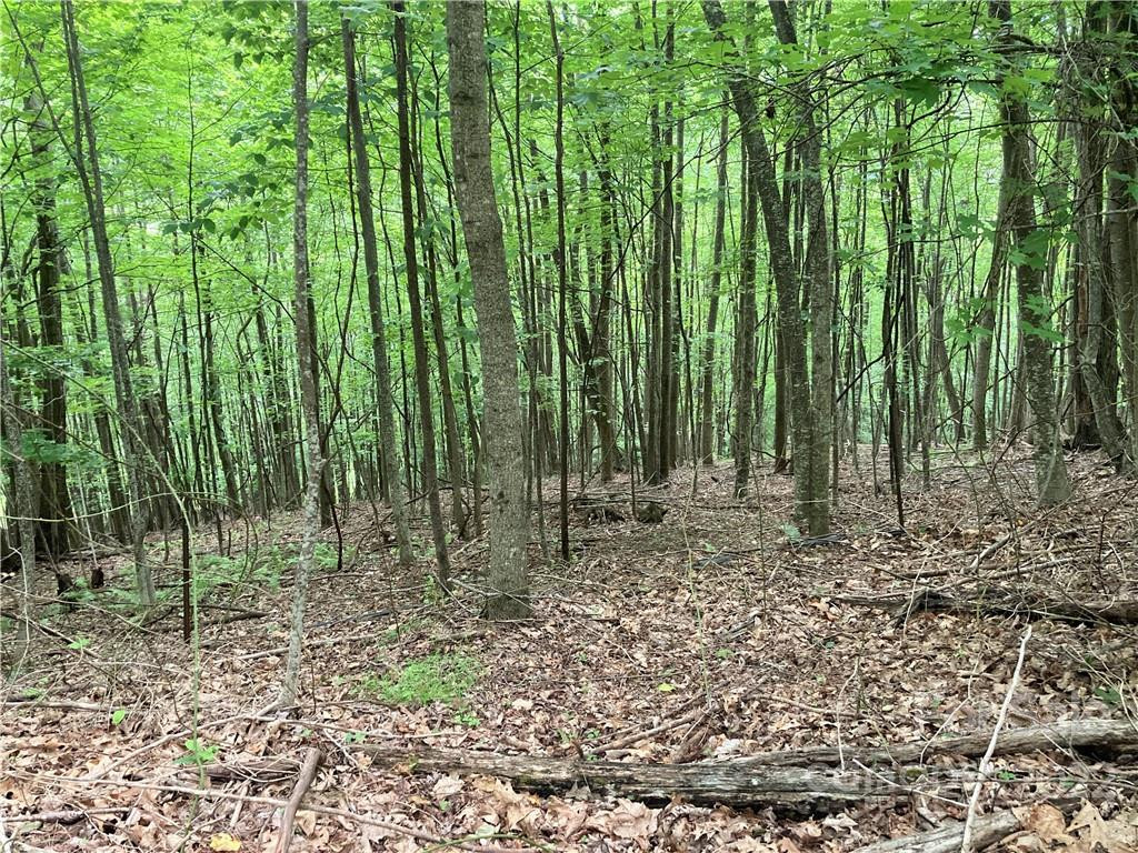 1161 Standing Deer Trace #130 - Photo 18