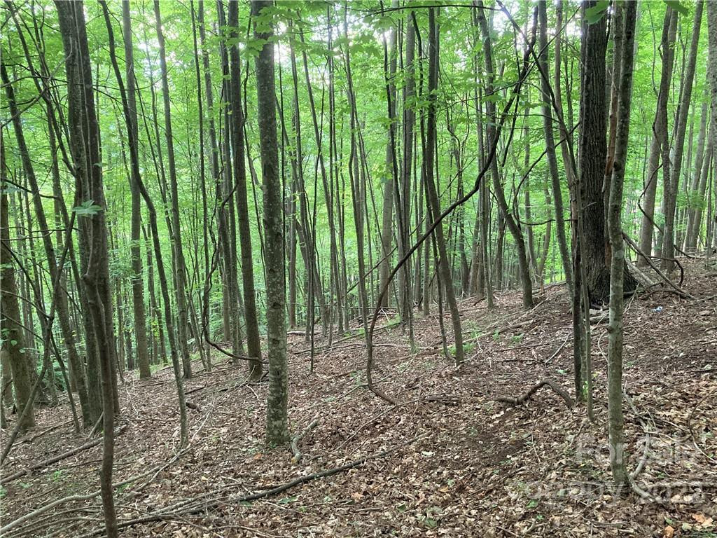 1161 Standing Deer Trace #130 - Photo 19