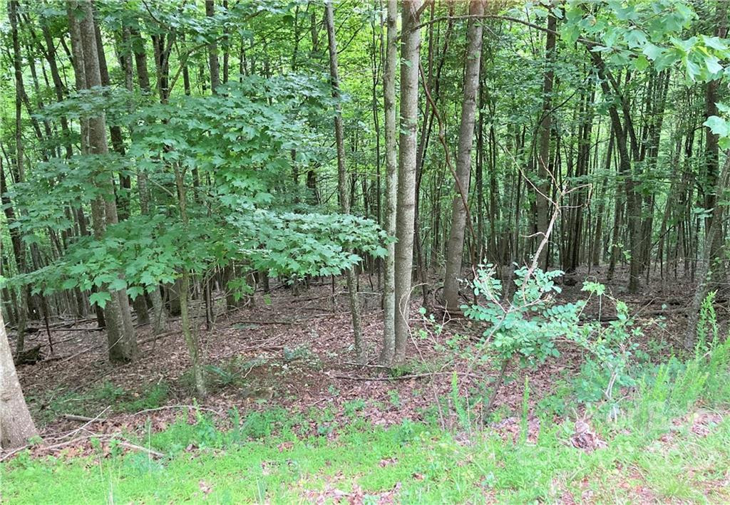 1161 Standing Deer Trace #130 - Photo 20