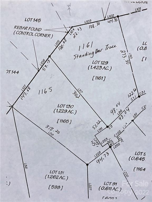 1161 Standing Deer Trace #130 - Photo 3