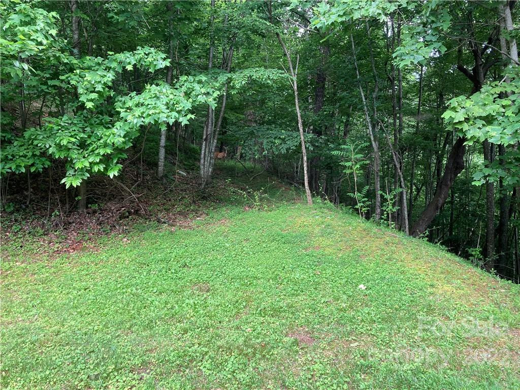 1161 Standing Deer Trace #130 - Photo 4