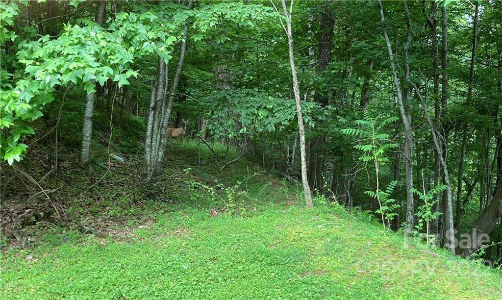 1161 Standing Deer Trace #130 - Photo 5