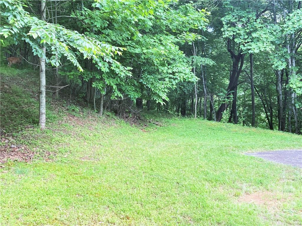 1161 Standing Deer Trace #130 - Photo 6