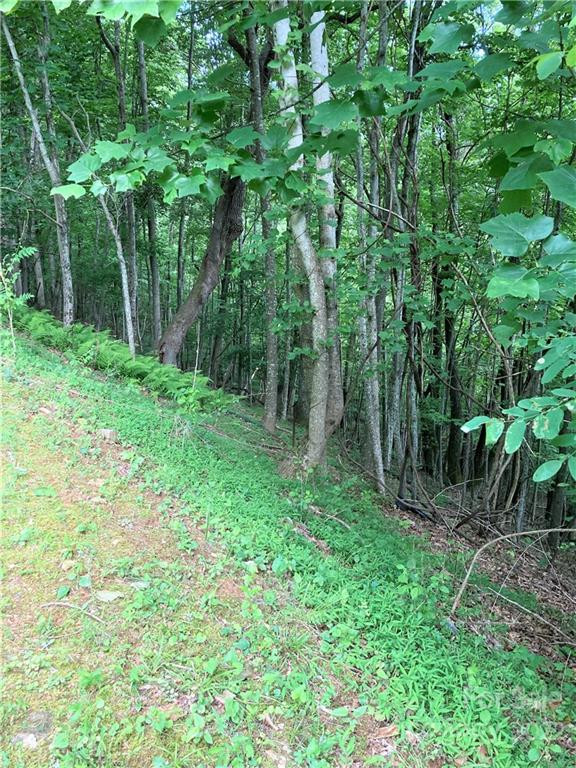 1161 Standing Deer Trace #130 - Photo 7