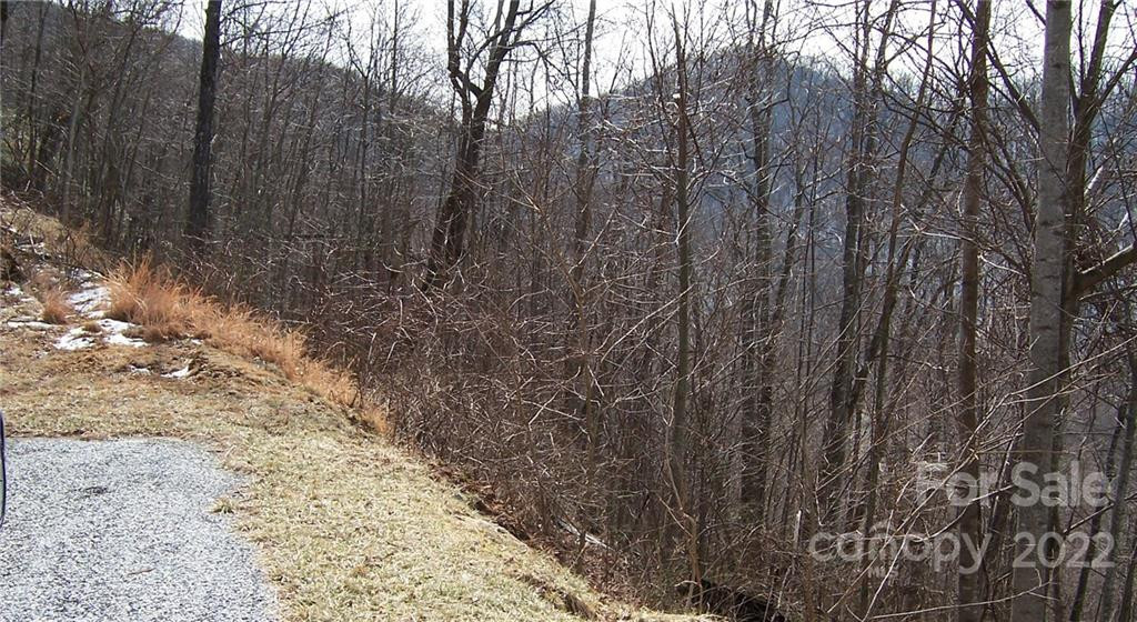 1161 Standing Deer Trace #130 - Photo 8